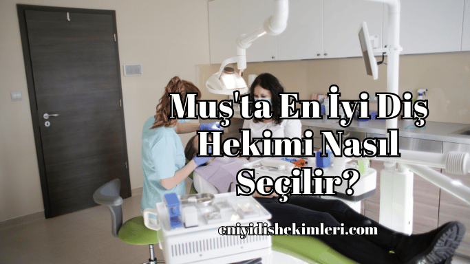 Muş'ta En İyi Diş Hekimi Nasıl Seçilir?