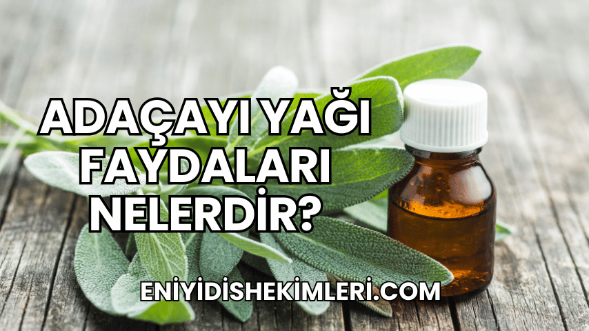 Adaçayı Yağı Faydaları Nelerdir?