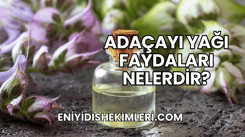 Adaçayı Yağı Faydaları Nelerdir?