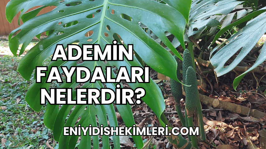 Ademin Faydaları Nelerdir?