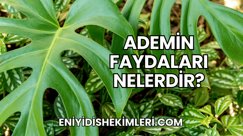 Ademin Faydaları Nelerdir?