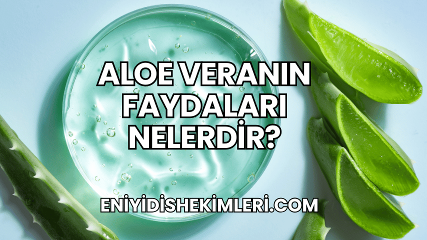 Aloe Veranın Faydaları Nelerdir?