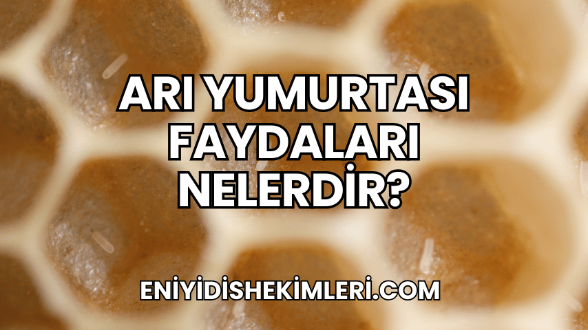 Arı Yumurtası Faydaları Nelerdir?