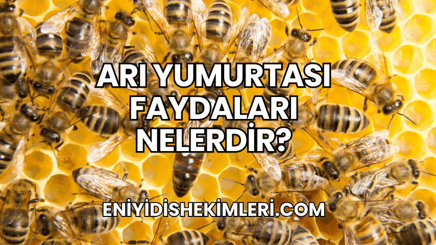 Arı Yumurtası Faydaları Nelerdir?