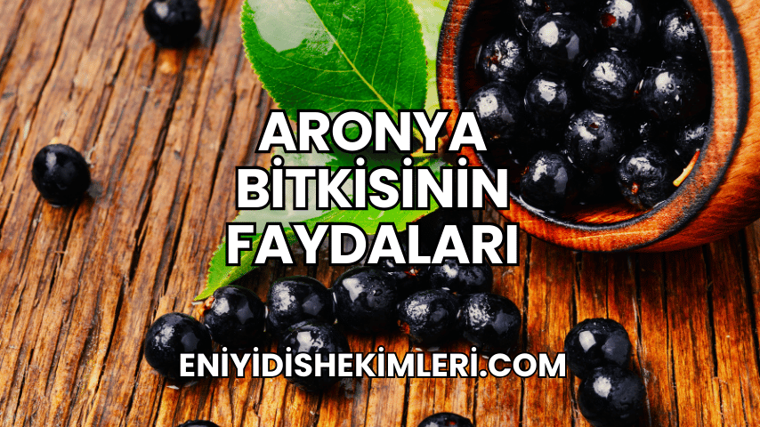 Aronya Bitkisinin Faydaları