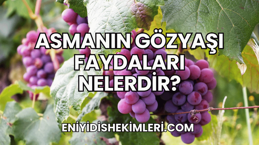 Asmanın Gözyaşı Faydaları Nelerdir?