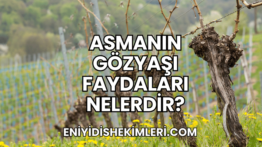 Asmanın Gözyaşı Faydaları Nelerdir?