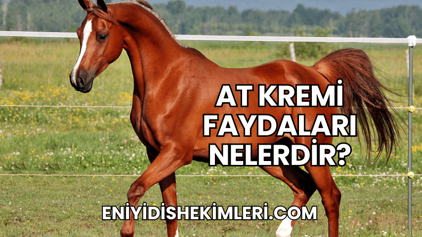 At Kremi Faydaları Nelerdir?