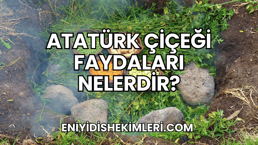 Atatürk Çiçeği Faydaları Nelerdir?