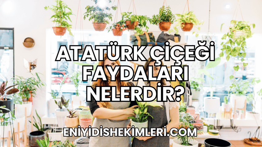 Atatürk Çiçeği Faydaları Nelerdir?