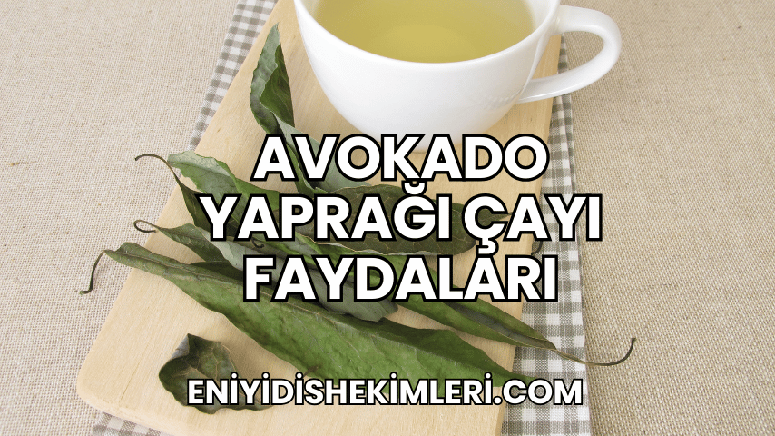 Avokado Yaprağı Çayı Faydaları