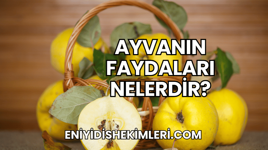 Ayvanın Faydaları Nelerdir?