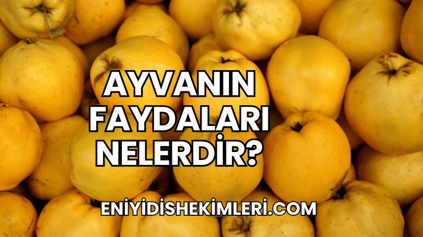 Ayvanın Faydaları Nelerdir?