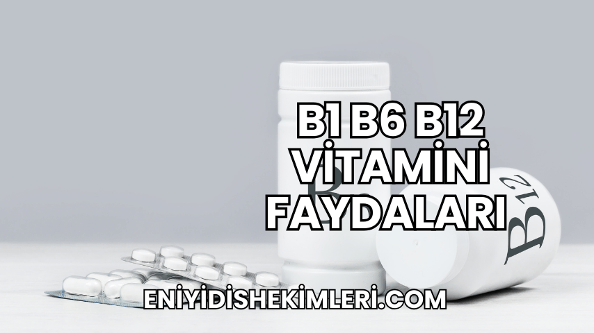 B1 B6 B12 Vitamini Faydaları