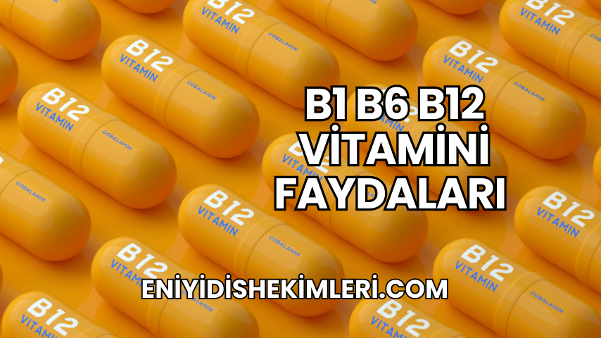 B1 B6 B12 Vitamini Faydaları