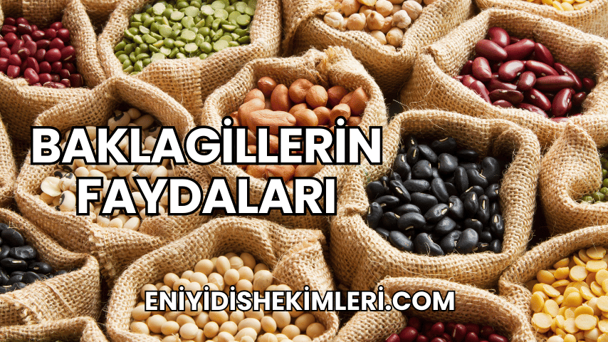 Baklagillerin Faydaları