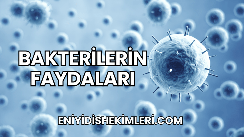 Bakterilerin Faydaları