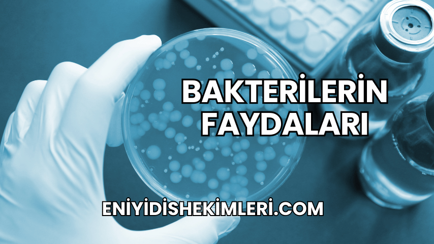 Bakterilerin Faydaları