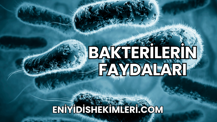 Bakterilerin Faydaları