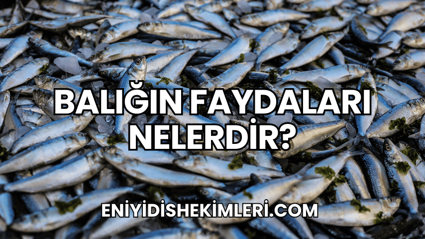 Balığın Faydaları Nelerdir?