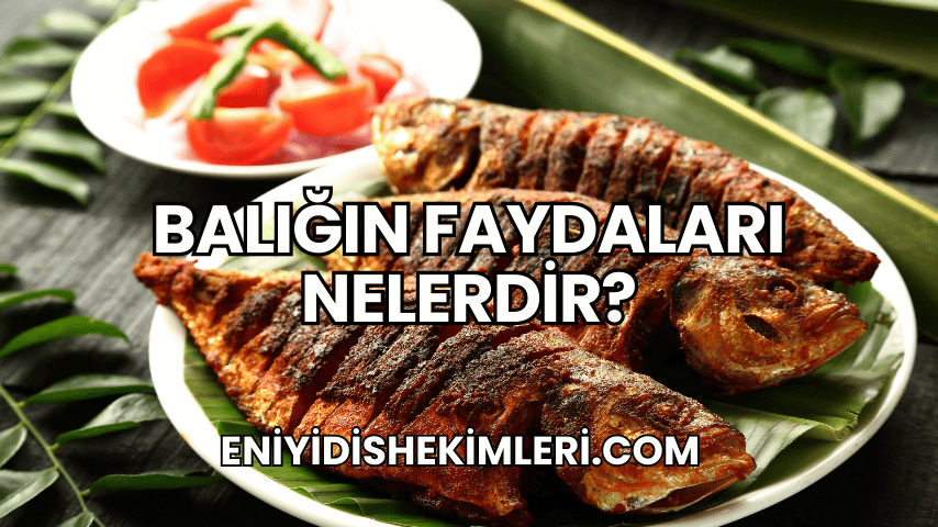 Balığın Faydaları Nelerdir?