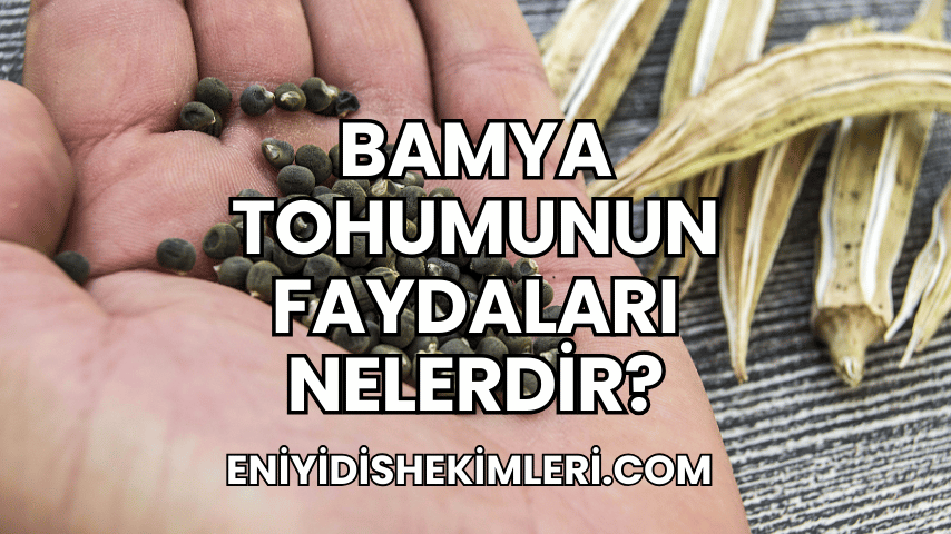 Bamya Tohumunun Faydaları Nelerdir?