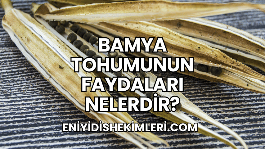 Bamya Tohumunun Faydaları Nelerdir?