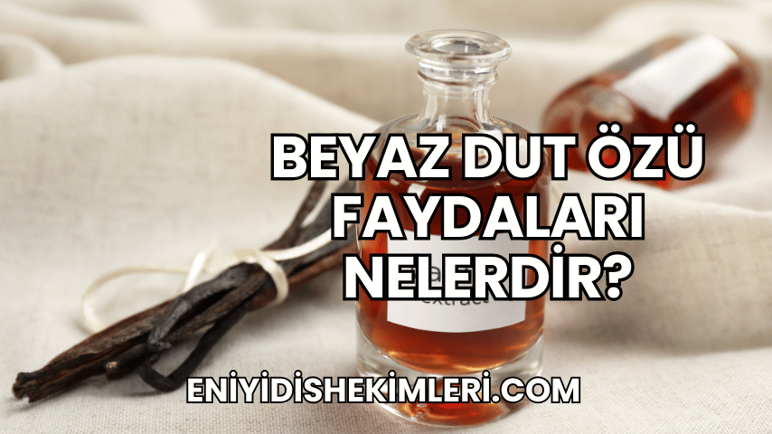 Beyaz Dut Özü Faydaları Nelerdir?