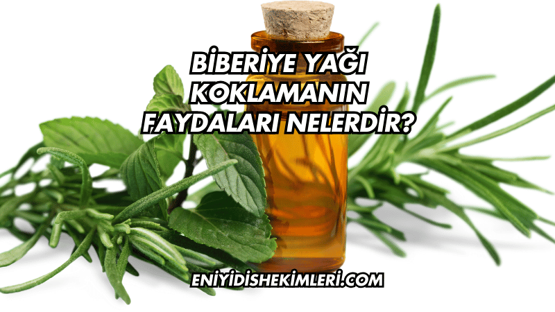 Biberiye Yağı Koklamanın Faydaları Nelerdir?