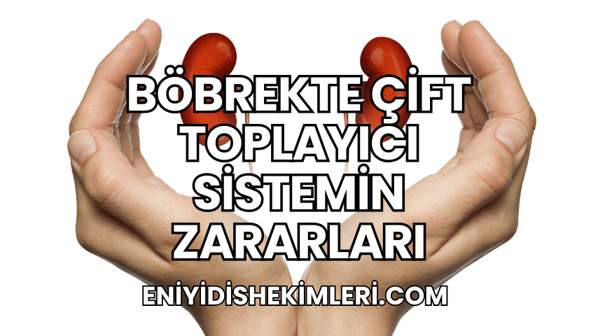 Böbrekte Çift Toplayıcı Sistemin Zararları