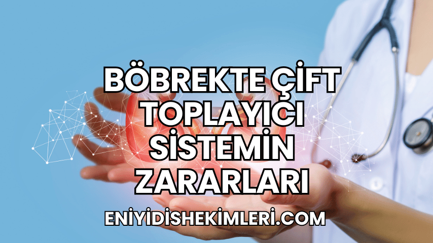 Böbrekte Çift Toplayıcı Sistemin Zararları