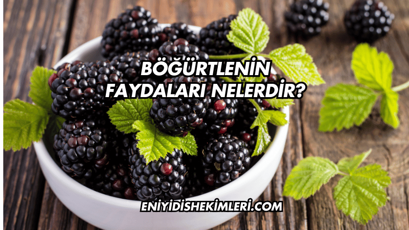 Böğürtlenin Faydaları Nelerdir?