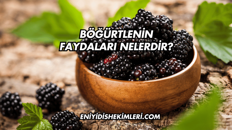 Böğürtlenin Faydaları Nelerdir?