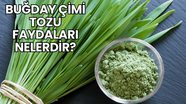 Buğday Çimi Tozu Faydaları Nelerdir?