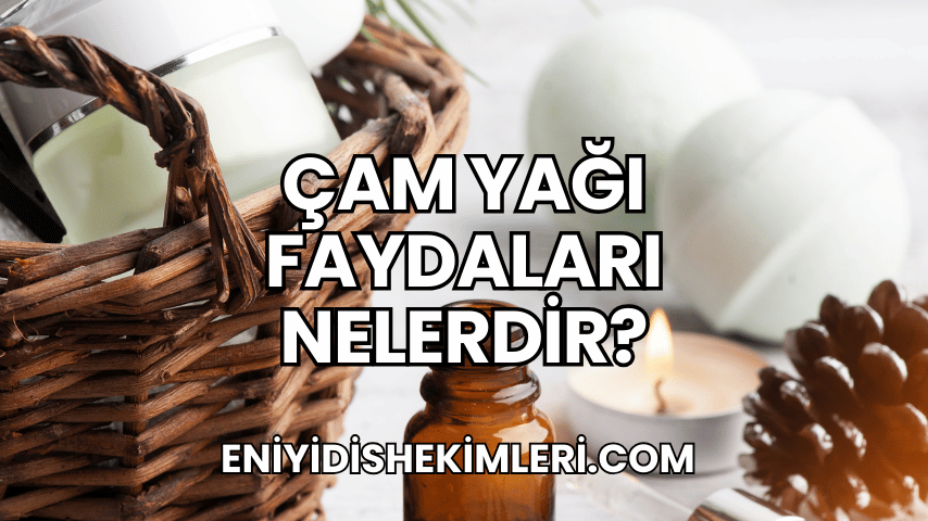 Çam Yağı Faydaları Nelerdir?