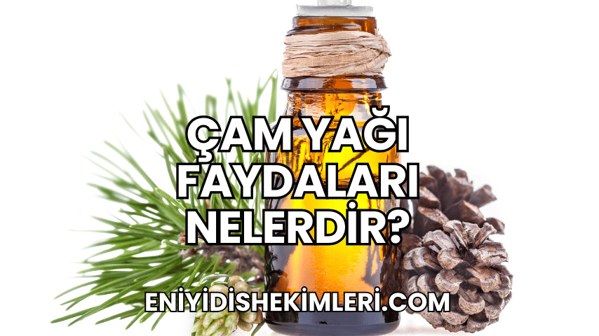 Çam Yağı Faydaları Nelerdir?