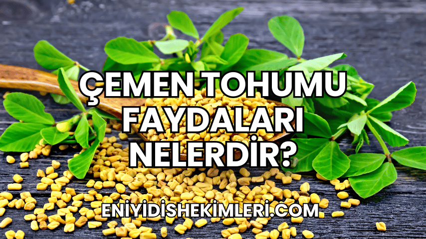 Çemen Tohumu Faydaları Nelerdir?