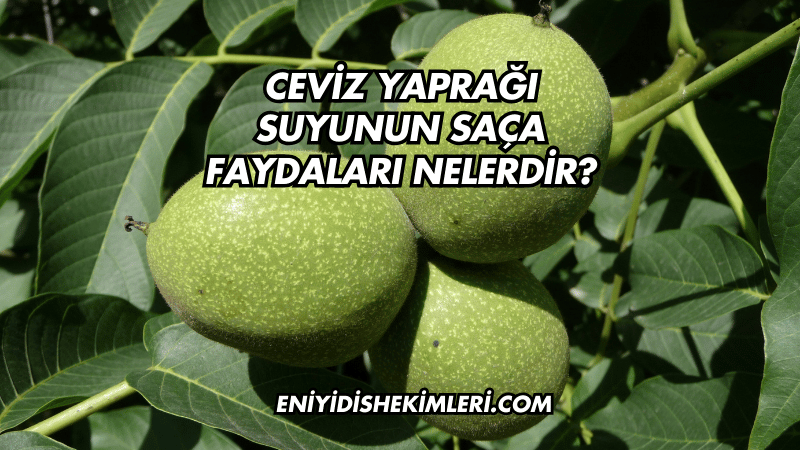 Ceviz Yaprağı Suyunun Saça Faydaları Nelerdir?