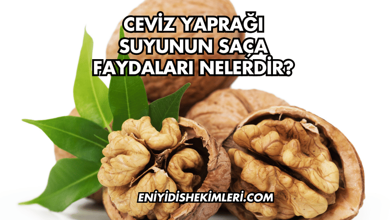 Ceviz Yaprağı Suyunun Saça Faydaları Nelerdir?