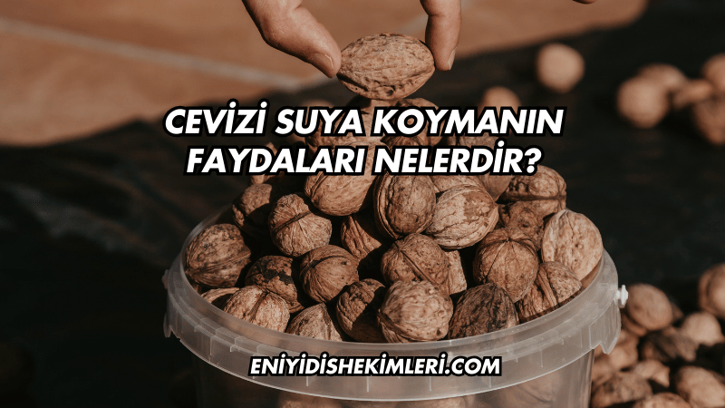 Cevizi Suya Koymanın Faydaları Nelerdir?