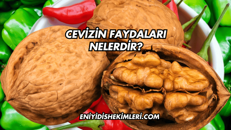 Cevizin Faydaları Nelerdir?