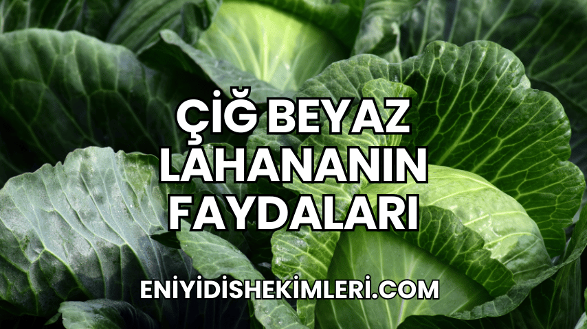 Çiğ Beyaz Lahananın Faydaları