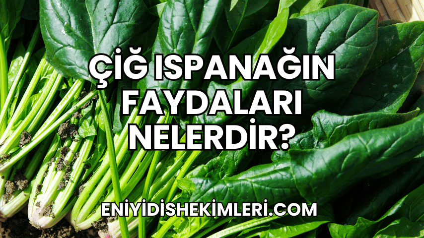 Çiğ Ispanağın Faydaları Nelerdir?