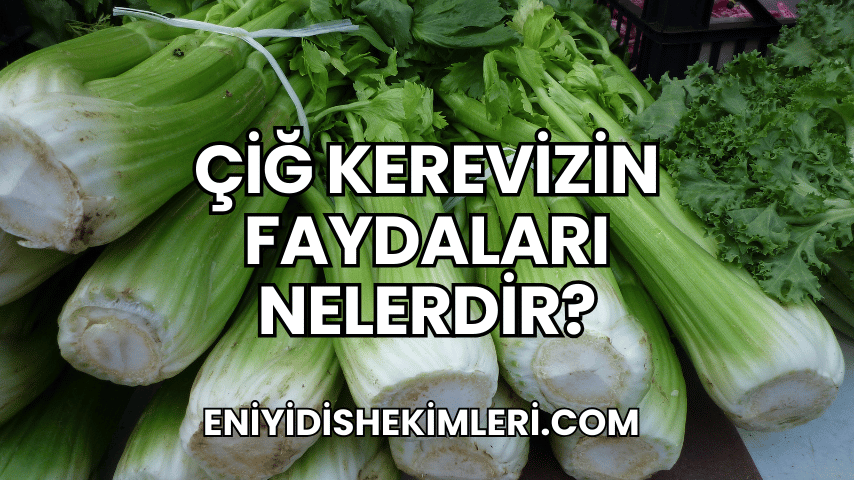 Çiğ Kerevizin Faydaları Nelerdir?