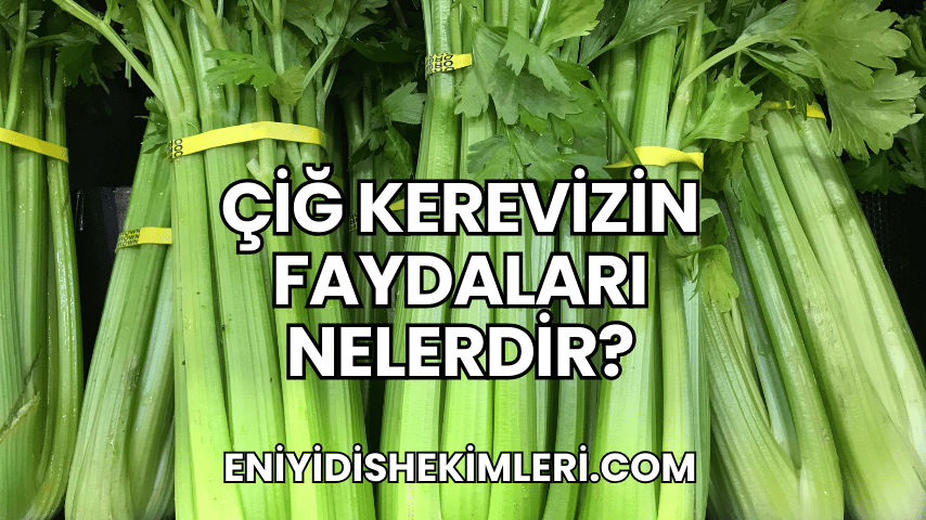 Çiğ Kerevizin Faydaları Nelerdir?