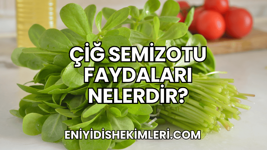 Çiğ Semizotu Faydaları Nelerdir?