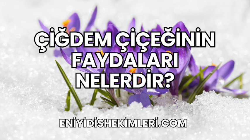 Çiğdem Çiçeğinin Faydaları Nelerdir?