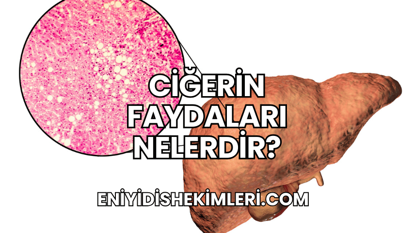 Ciğerin Faydaları Nelerdir?