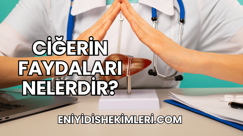 Ciğerin Faydaları Nelerdir?