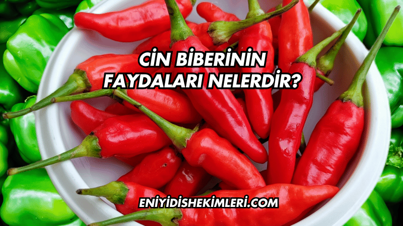 Cin Biberinin Faydaları Nelerdir?